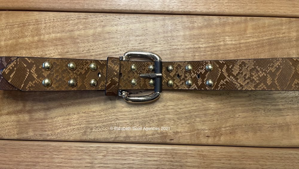 Brown Belt With Gold Studs and Python Print - Click Image to Close