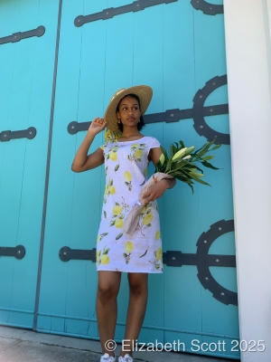 Round Neckline Lemon Print Linen Dress