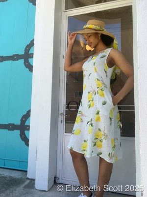 A Line Lemon Print Linen Dress