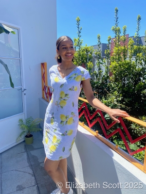 V Neck Lemon Print Linen Dress With Braid Detail